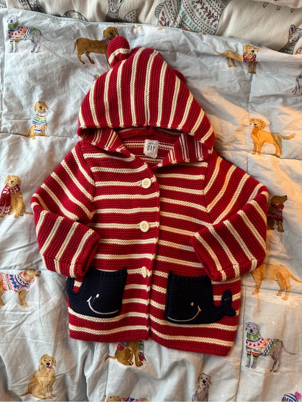 baby gap sweater 3/6 months